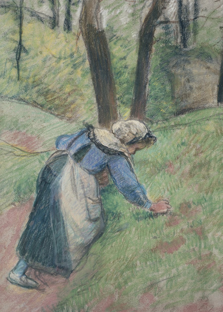 Bondekvinde luger græsset (pastel forhøjet steder med en lyserød vask) af Camille Jacob Pissarro