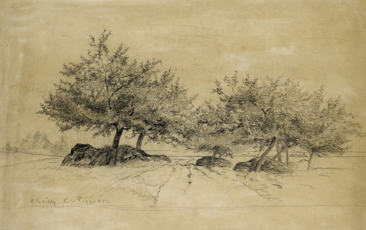 Rekto: Chailly, ca. 1859 (kul på beige papir) af Camille Jacob Pissarro