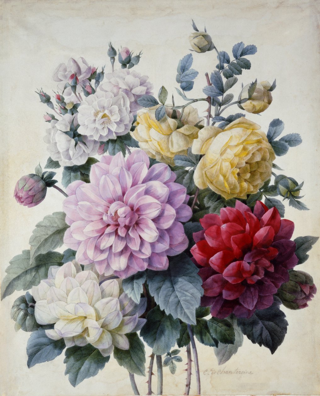 Buket af blomster, dahliaer og roser, udgivet ca. 1830-40 (stipplegravering håndfarvet) af Camille de Chantereine