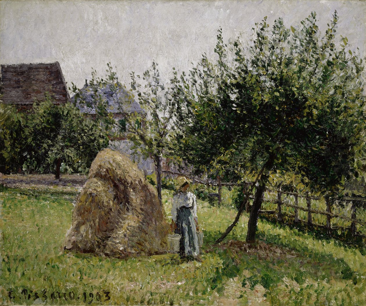 Æbletræer i Eragny, solrig morgen, 1903 af Camille Jacob Pissarro