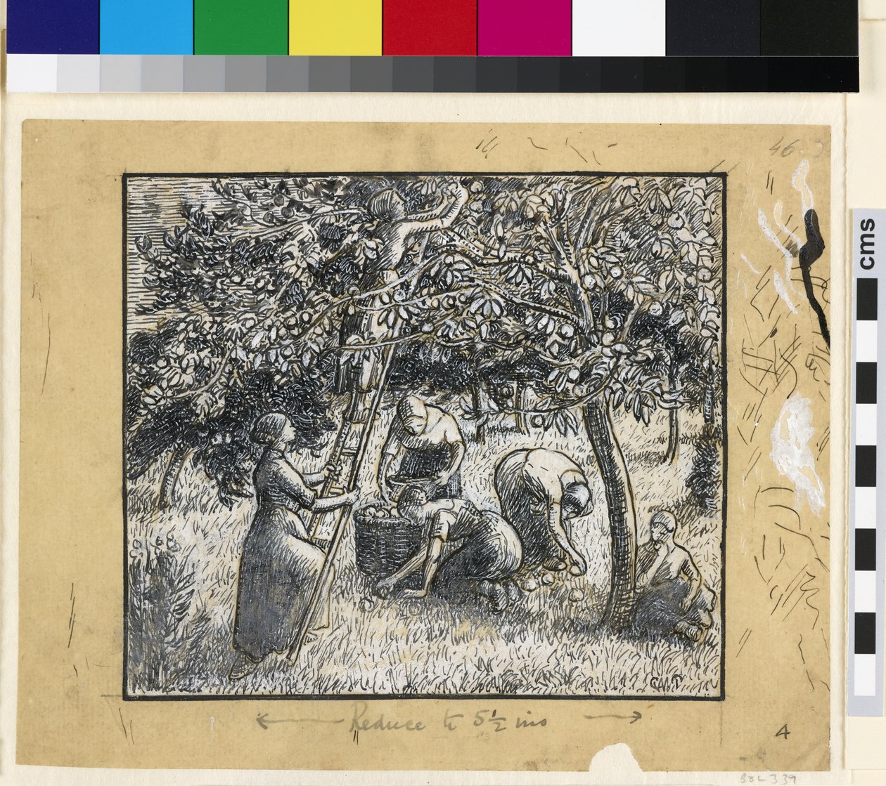 Kompositionsstudie af kvindelige bønder, der høster æbler (pen & indisk blæk med kinesisk hvidt på papir) af Camille Jacob Pissarro