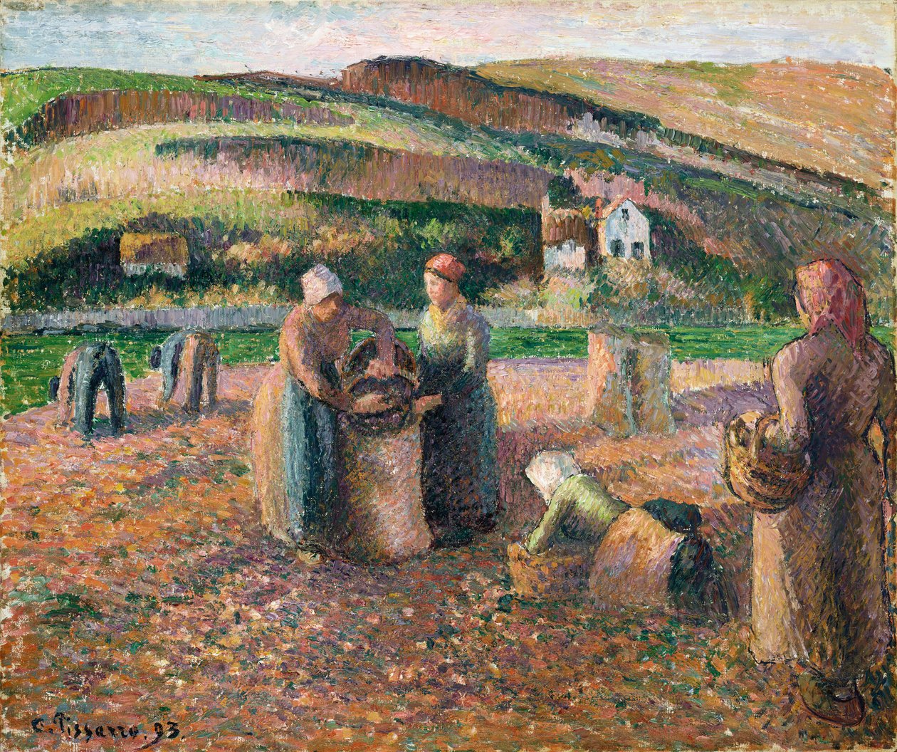 Plukke kartofler, 1893 af Camille Jacob Pissarro