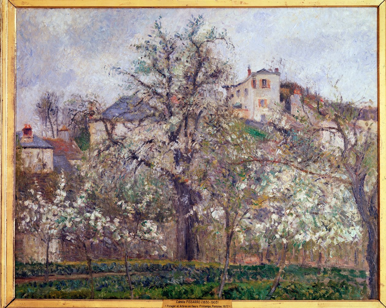 Forår, blommeblomster i Pontoise - olie på lærred af Camille Jacob Pissarro