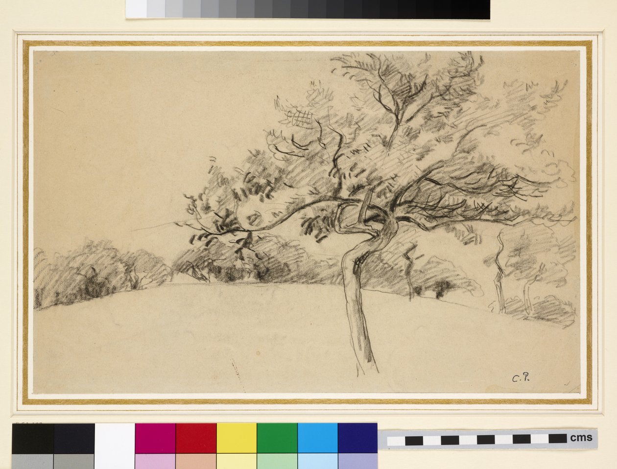 Undersøgelse af frugtplantagen ved Eragny-sur-Epte med et træ i forgrunden (sort kridt på papir) af Camille Jacob Pissarro