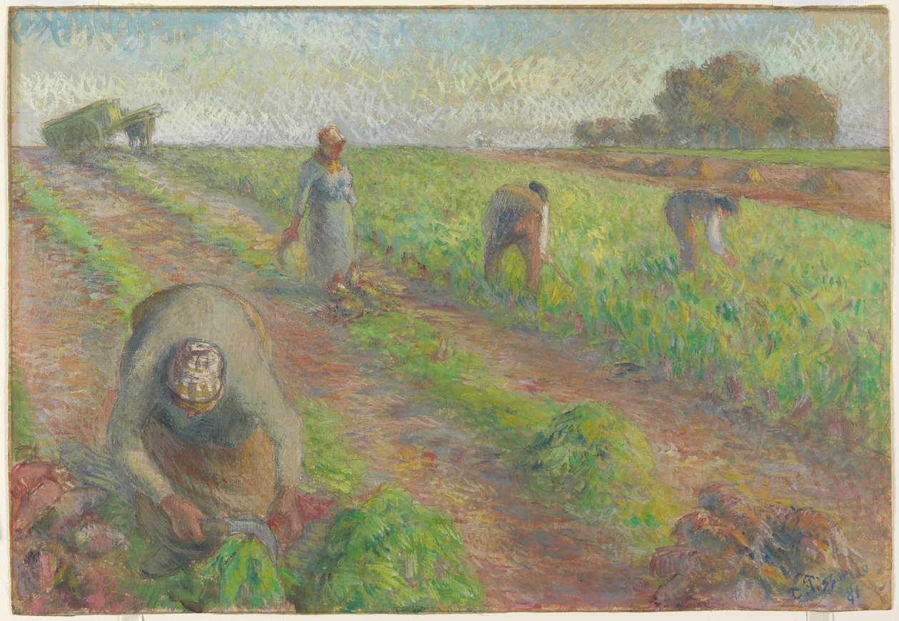 Roehøsten, 1881 (gouache over grafit på linned) af Camille Jacob Pissarro