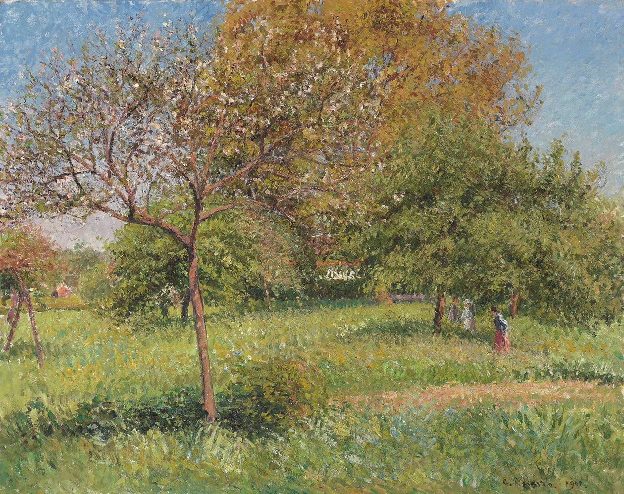Det store valnøddetræ, morgen, Eragny; Le Grand Noyer, Matin, Eragny, 1901 af Camille Jacob Pissarro