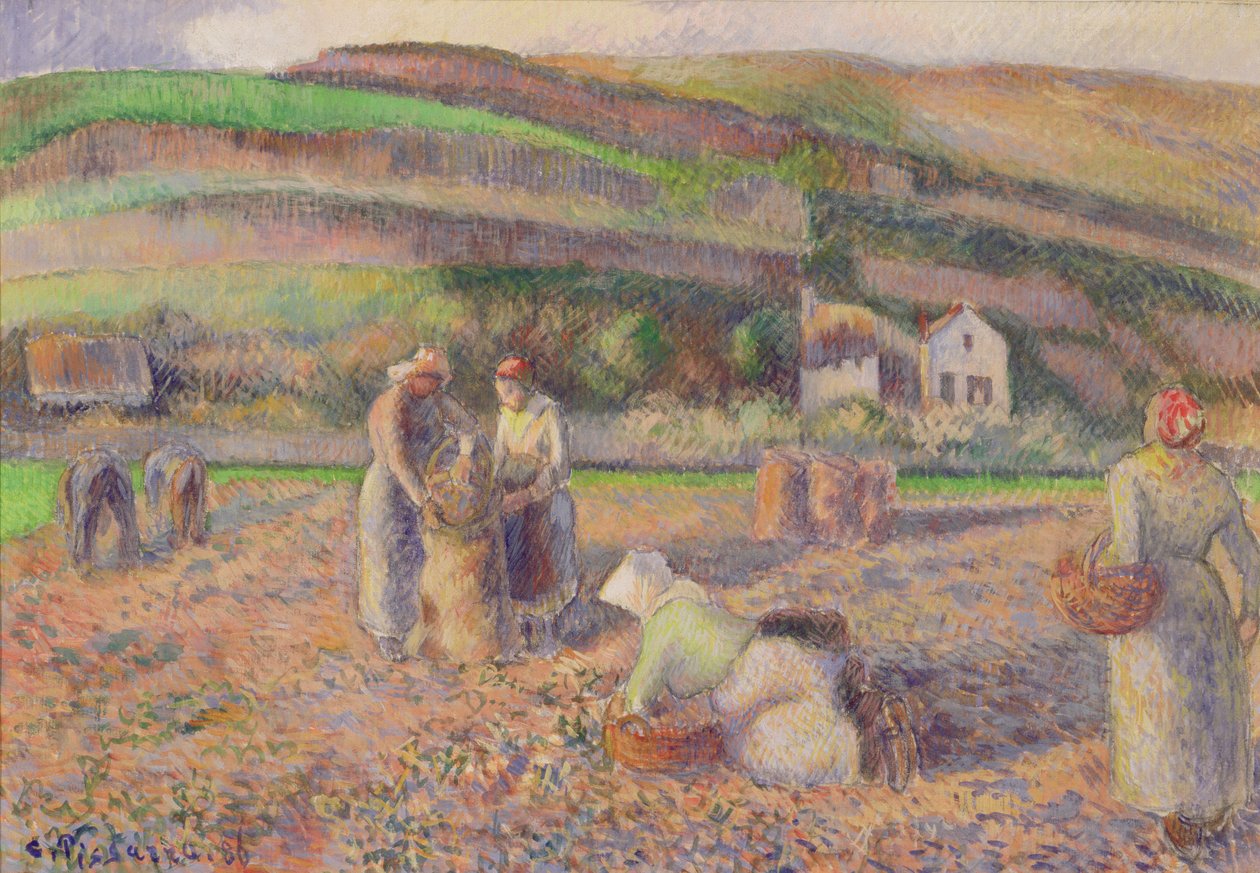 Kartoffelhøsten, 1886 af Camille Jacob Pissarro