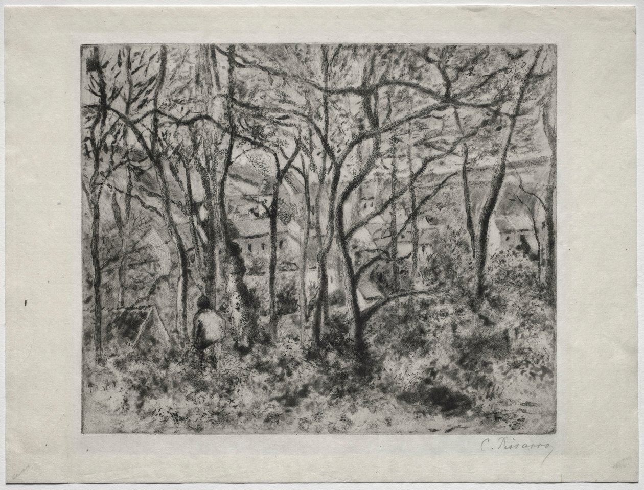 Skovklædt landskab ved LHermitage, Pontoise, 1879. af Camille Jacob Pissarro