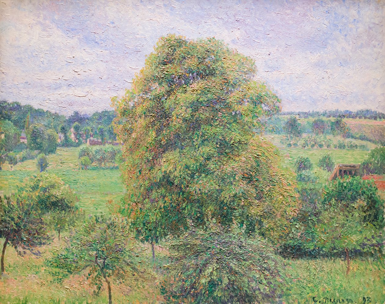 Stort valnøddetræ ved Eragny af Camille Pissarro