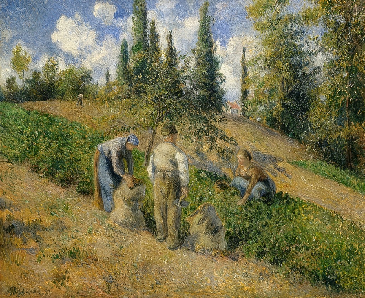 Die Ernte, Pontoise. / Høsten, Pontoise. 1881 af Camille Jacob Pissarro