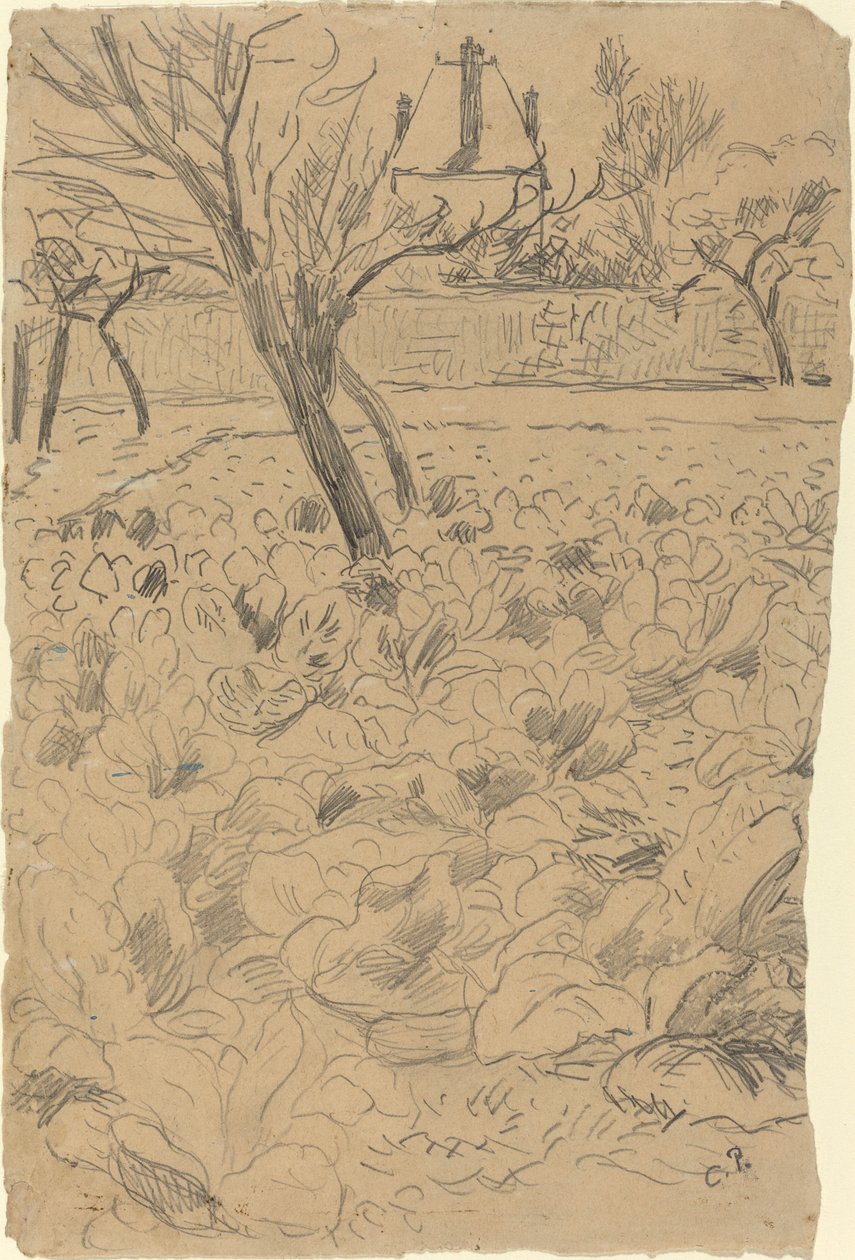 Kålmarken af Camille Pissarro