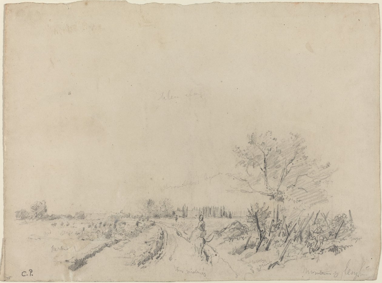 Montmorency Road, ca. 18501860. af Camille Pissarro