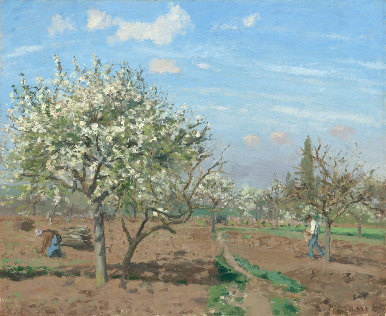 Frugthave i Bloom, Louveciennes af Camille Pissarro
