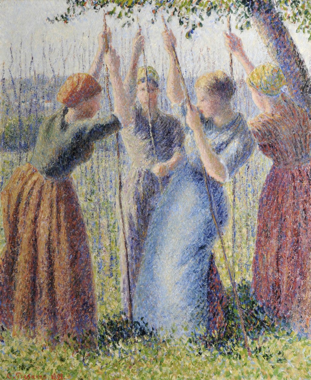 Bondekvinder planter ramsløg af Camille Pissarro
