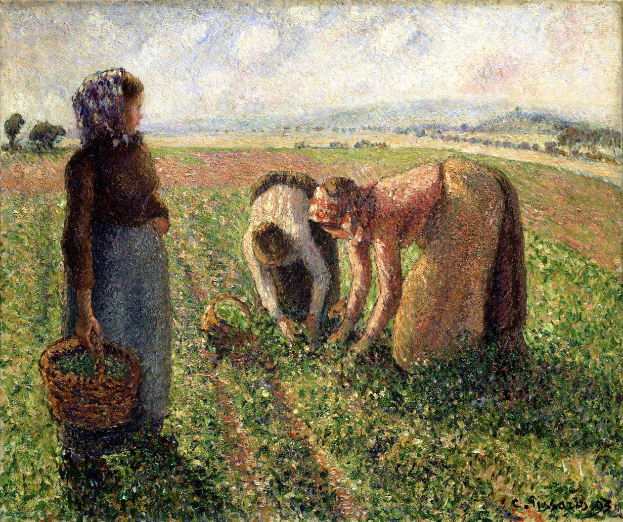 Ærtehøst, Eragny, 1893. af Camille Jacob Pissarro