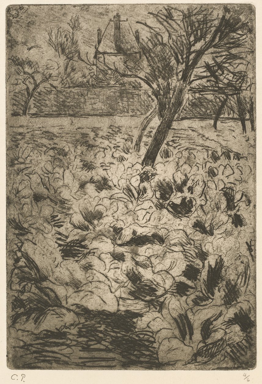 Kålmarken Kålmarken, ca. 1880. af Camille Pissarro