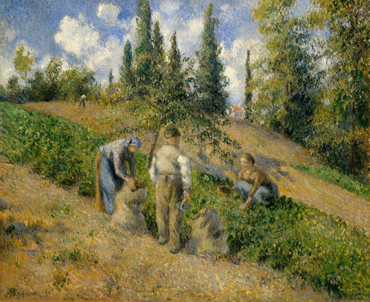 Høsten, Pontoise Høsten, Pontoise, 1881. af Camille Jacob Pissarro