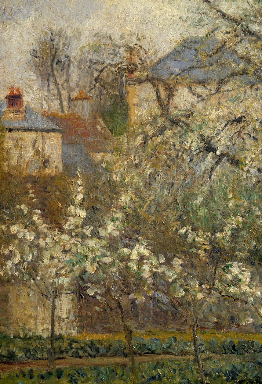 Vegetable garden and trees in bloom in spring in Pontoisedani af Camille Jacob Pissarro