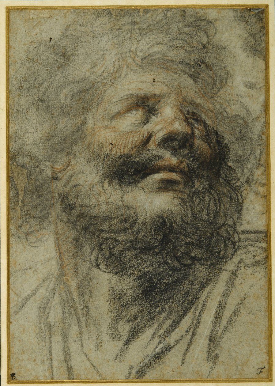 Hovedet af en skægget mand, der ser op til højre (sort og rødt kridt på gråt papir) af Camillo Procaccini
