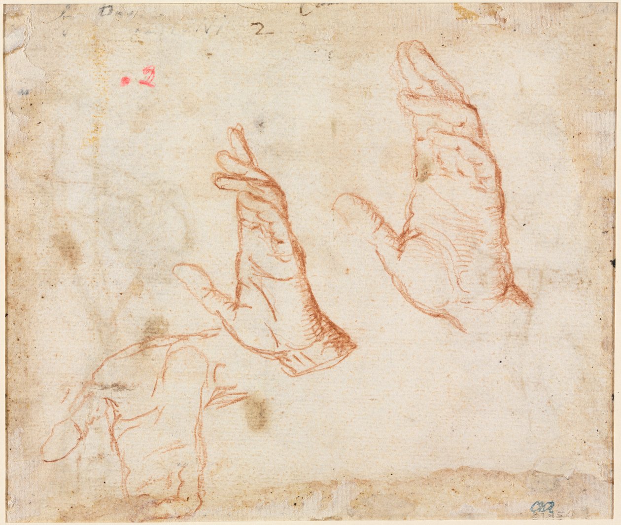 Studie af hænder (verso) af Camillo Procaccini