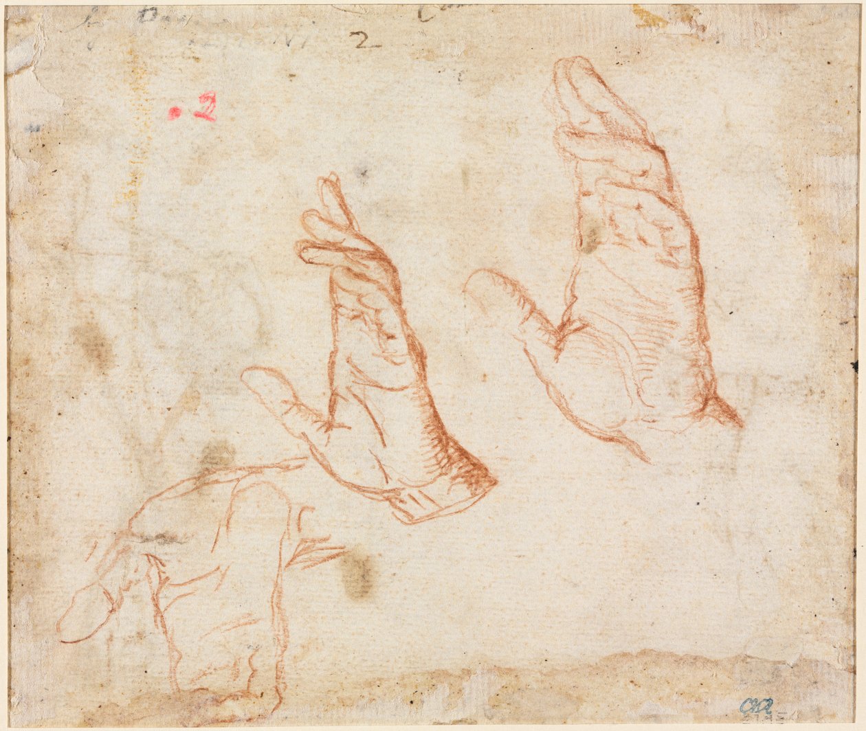 Study of Hands verso, ca. 1590. af Camillo Procaccini