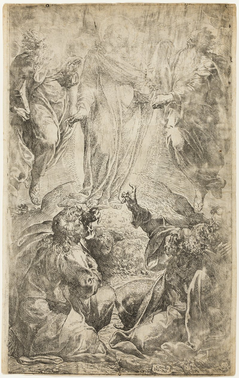 Forvandlingen af Camillo Procaccini