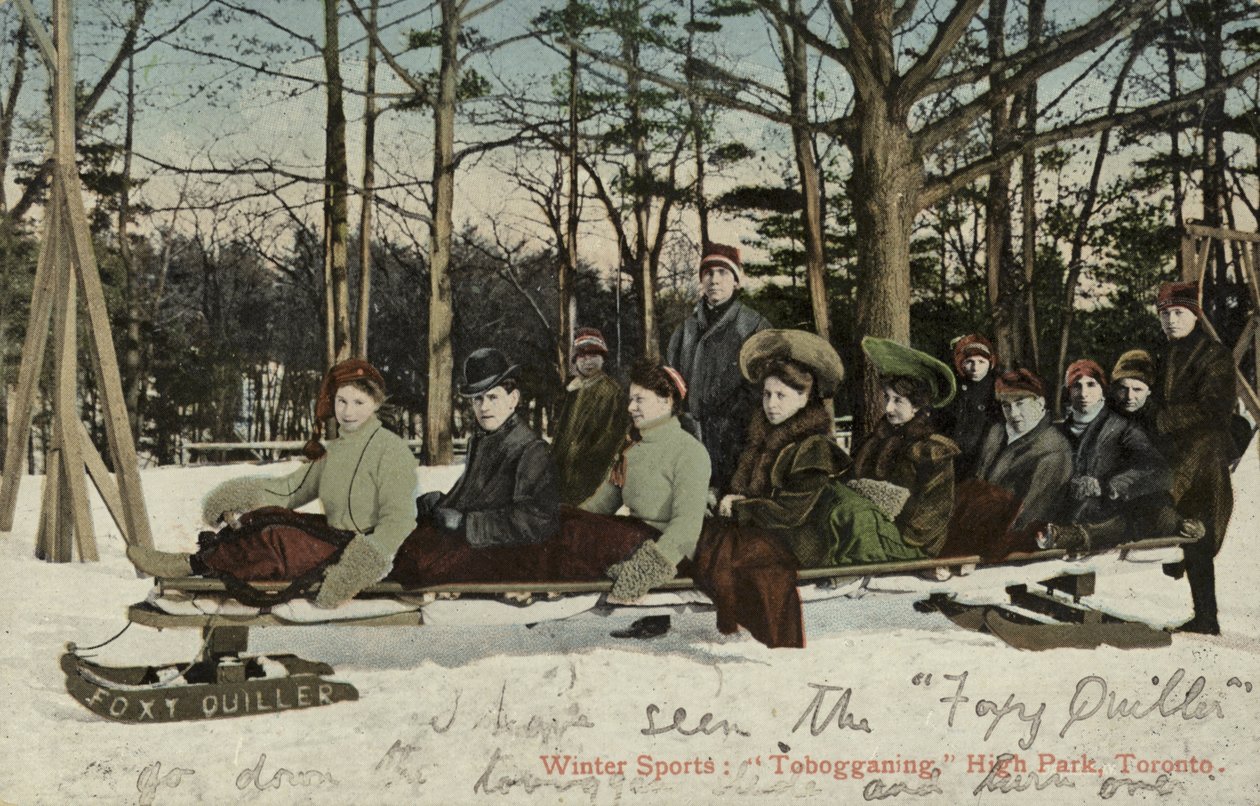 Kælkning, High Park, Toronto, Canada (foto i farver) af Canadian Photographer