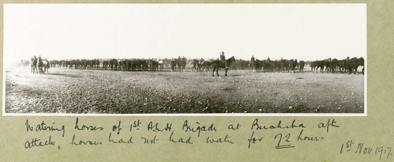 Vanding af heste af 1. A.L.H. Brigade i Beersheba efter angreb, heste havde ikke haft vand i 72 timer, 1. november 1917 af Capt. Arthur Rhodes