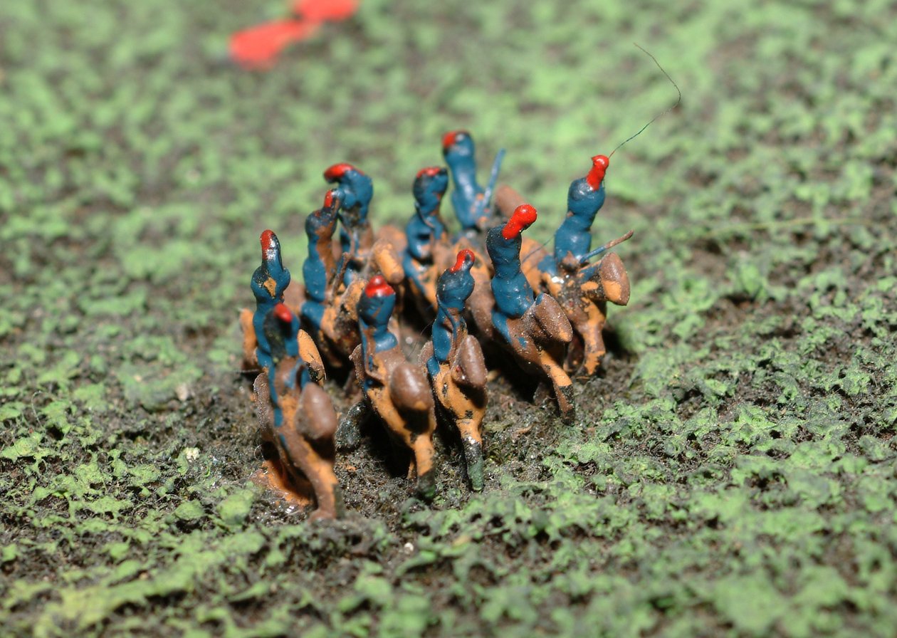 Diorama fra slaget ved Waterloo, der viser tropper placeret kl. 19.45 den 18. juni 1815 (blandet medier) (detaljer) af Capt. William Siborne