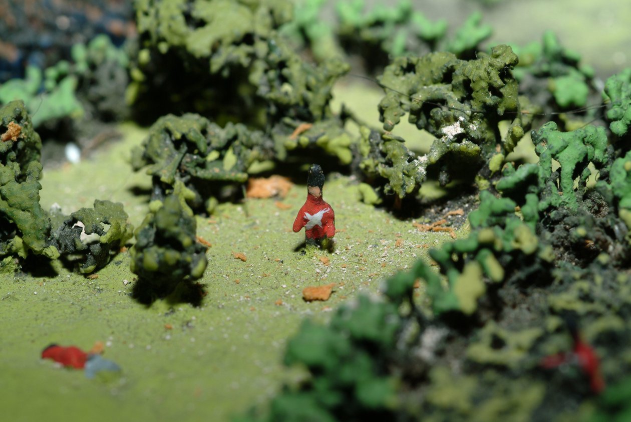 Diorama fra slaget ved Waterloo, der viser tropper placeret kl. 19.45 den 18. juni 1815 (blandet medier) (detaljer) af Capt. William Siborne