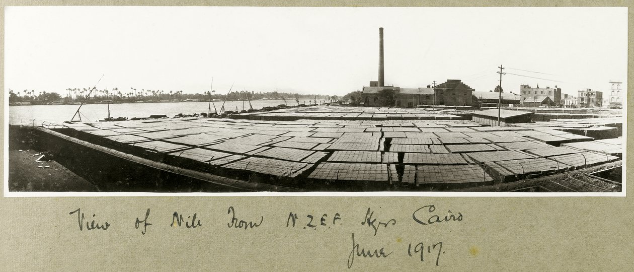 Udsigt over Nilen fra N.Z.M.F.A. Hovedkvarter, Cairo, juni 1917 af Capt. Arthur Rhodes