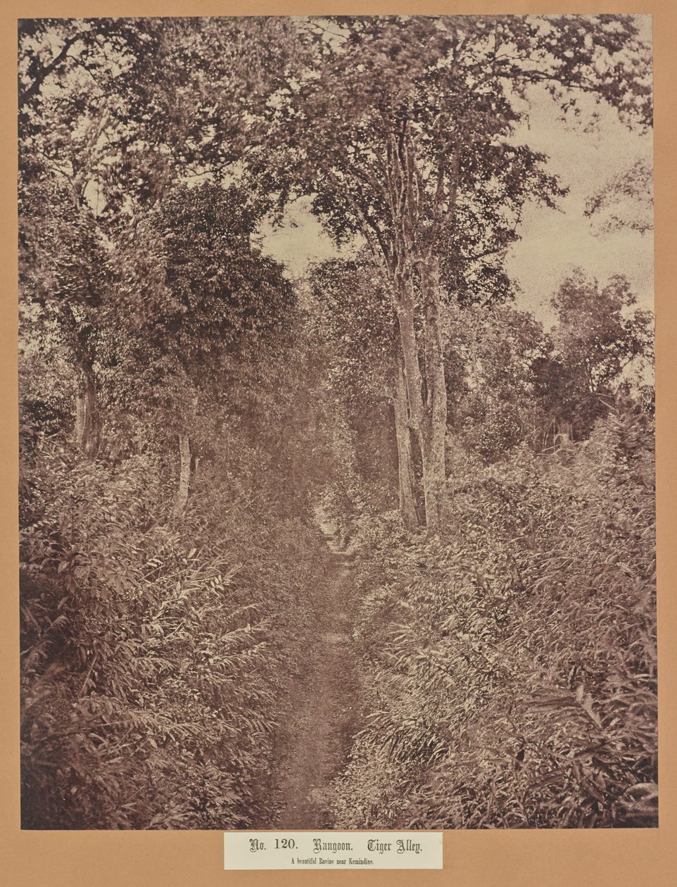 Nr. 120. Rangoon. Tiger Alley af Capt. Linnaeus Tripe