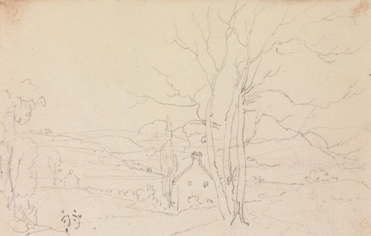 Skitse af et stort træ og et sommerhus af Capt. Thomas Hastings