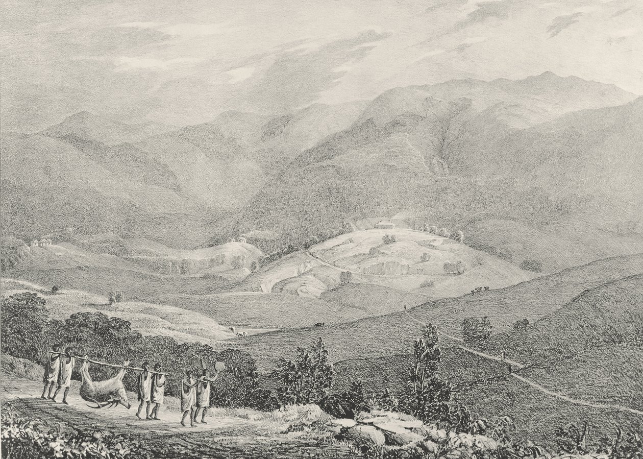 Ottacamund, View of the Great Dodabetta, Neelgherry Mountains, plade 4 fra 