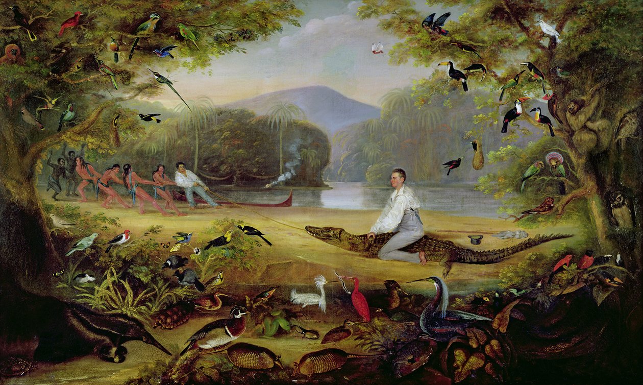 Charles Waterton fangede en cayman, 1825-26 af Captain Edward Jones