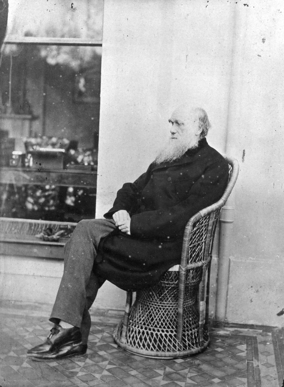 Charles Darwin af Captain L. Darwin