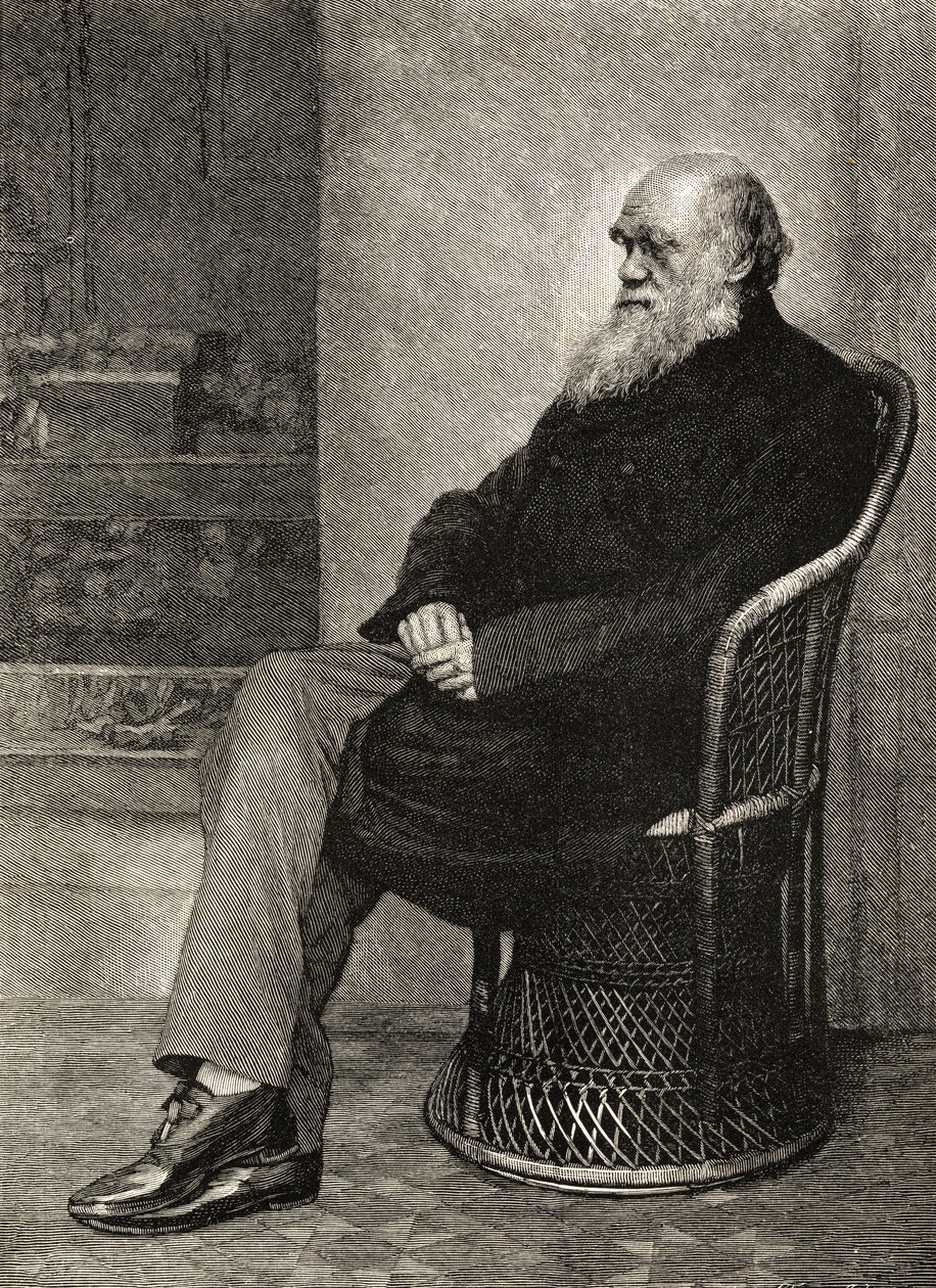 Charles Darwin, illustration fra 