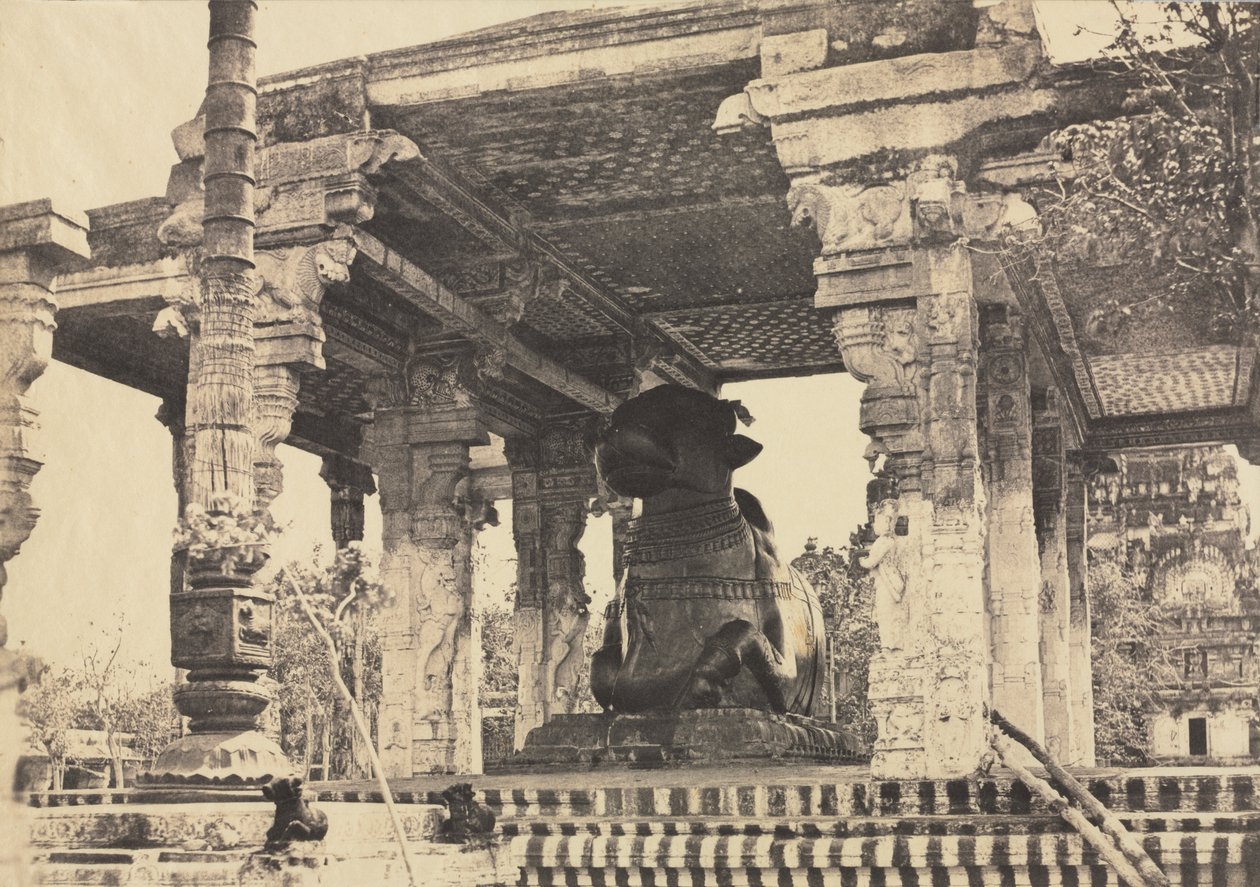 Great Pagoda, Great Bull, Set forfra, Tanjore, Indien (Rajarajesvara Temple) af Captain Linnaeus Tripe
