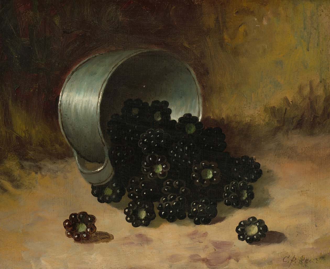 Blackberries Spilling from Tin Cup, n.d. (olie på plade) af Carducius Plantagenet Ream