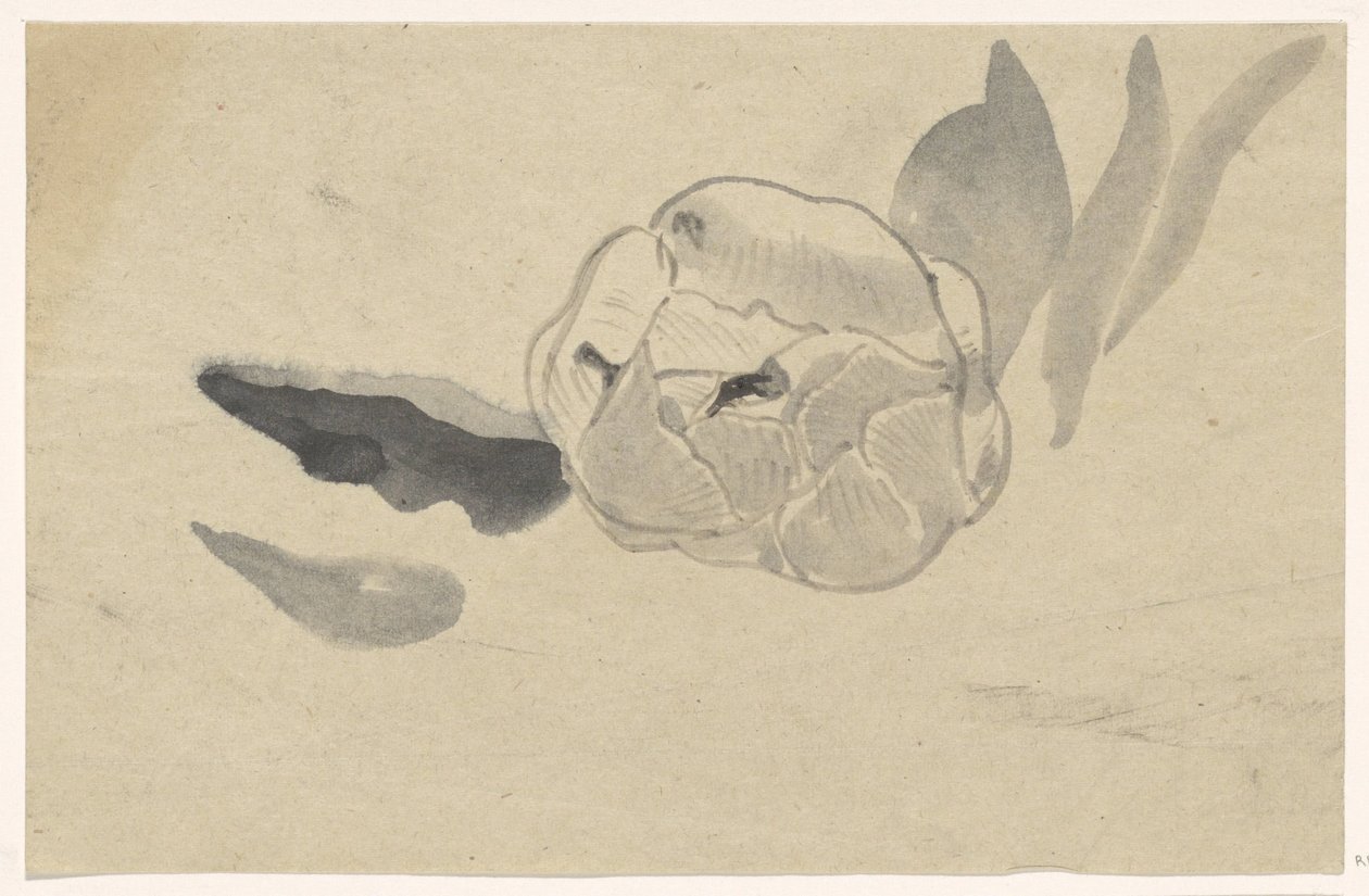 Blomsterstudie af Carel Adolph Lion Cachet