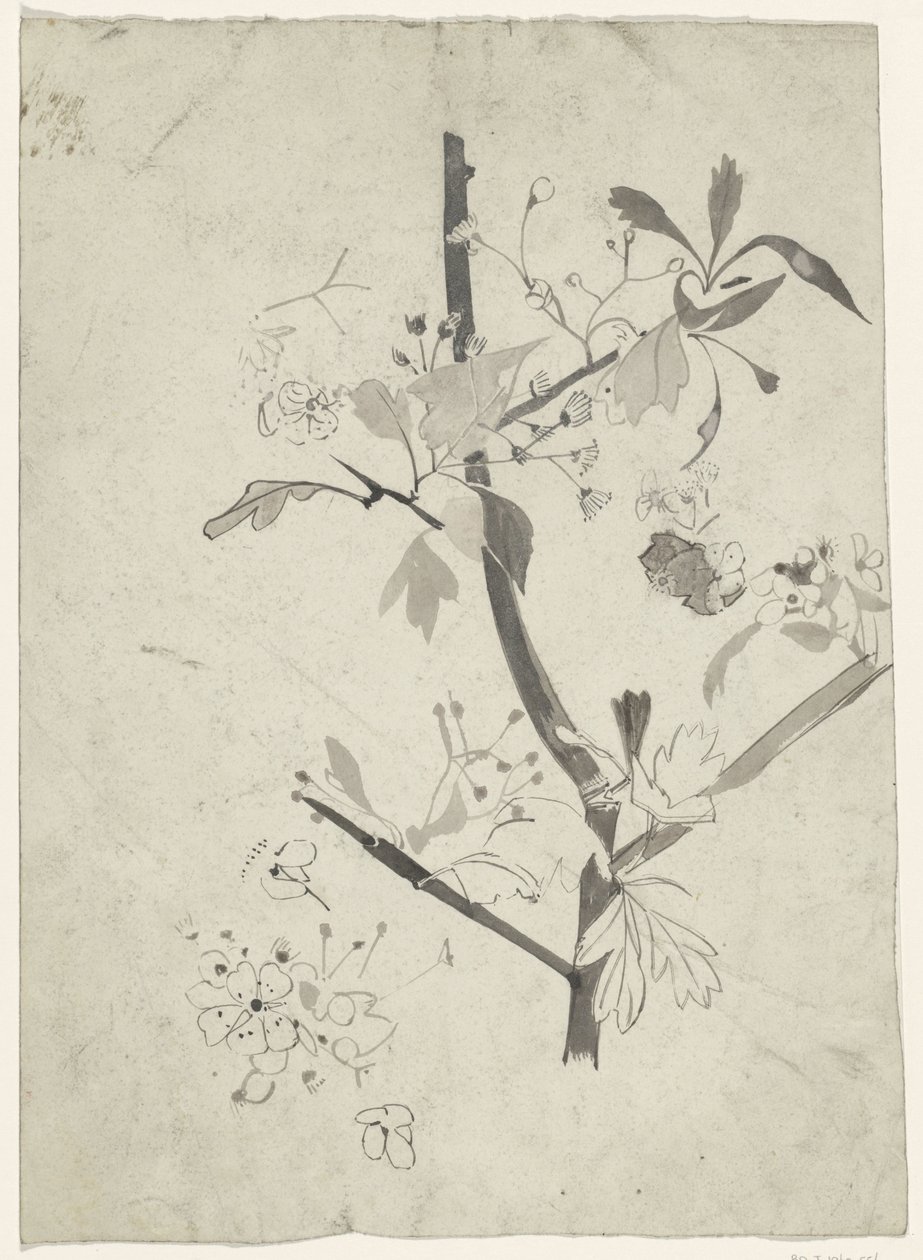 Gren med blomst af Carel Adolph Lion Cachet