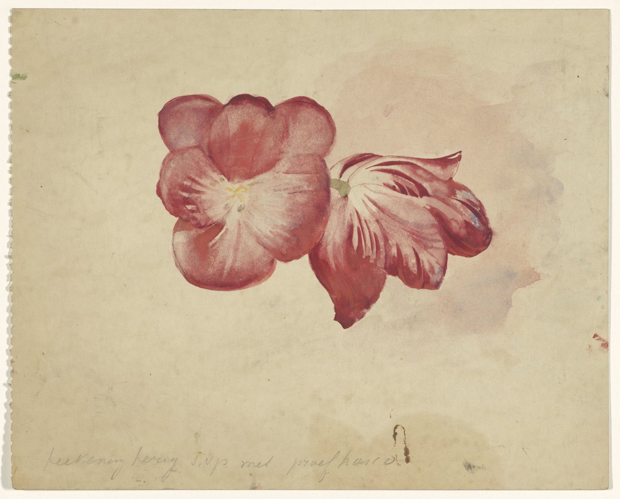 To røde tulipaner af Carel Adolph Lion Cachet