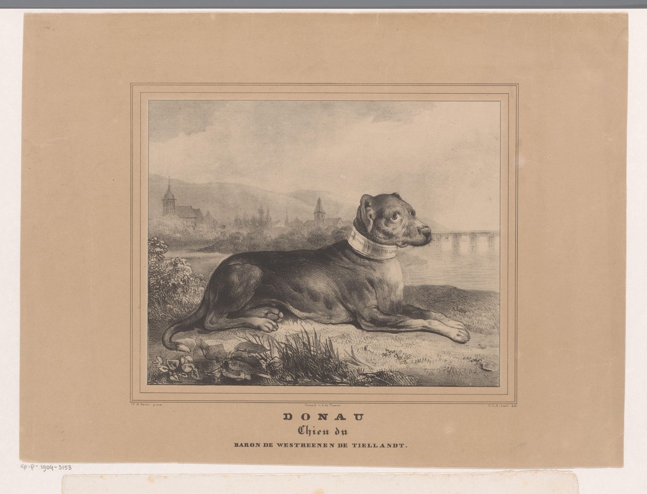 Hunde Donau Donau. Chien du Baron de Westreenen de Tiellandt (titel på objektet) af Carel Christiaan Antony Last