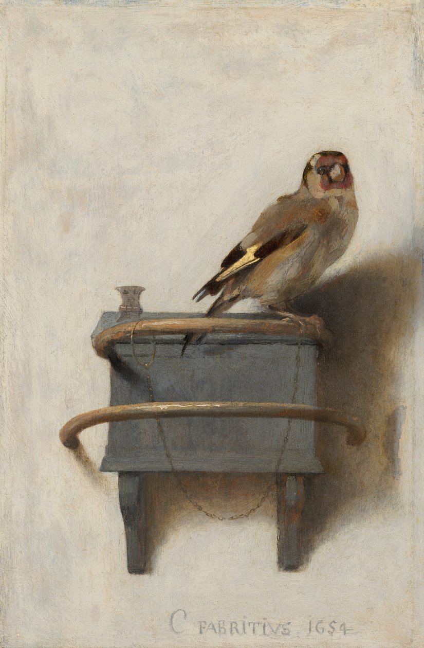 Arabisk:  Guldfinken af Carel Fabritius