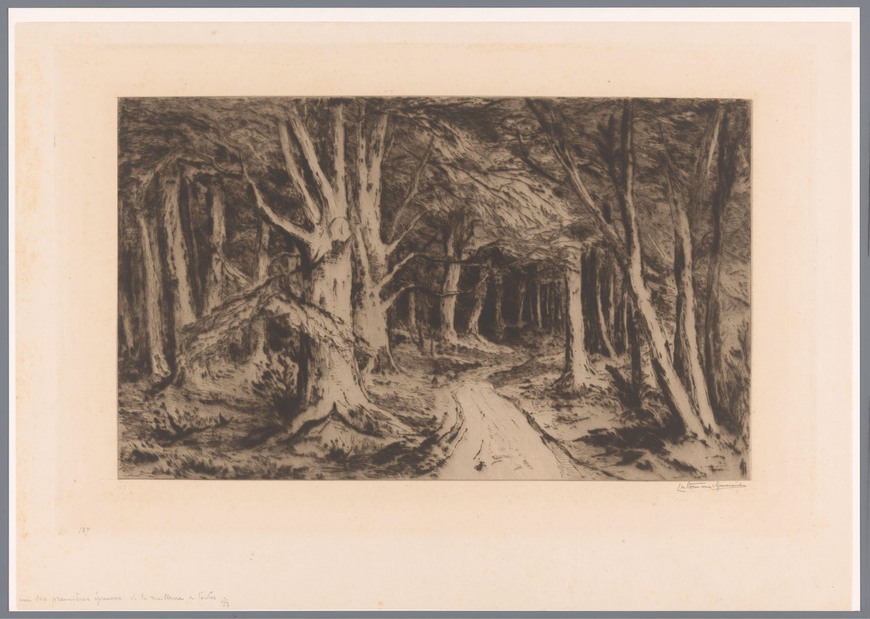 Skovbryn med skovsti Indgang til skoven (original titel) af Carel Nicolaas Storm van 