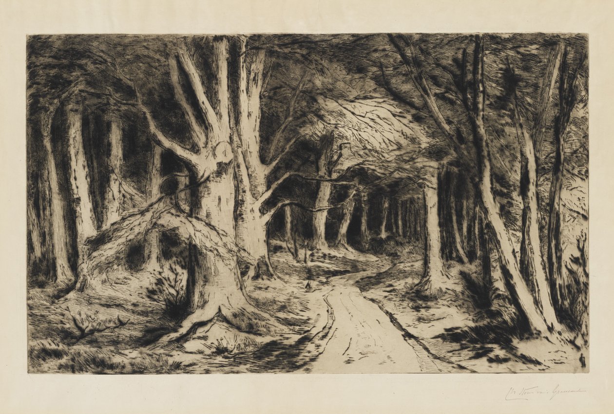 Skovstien, c.1885 af Carel Nicolaas Storm van s Gravesande