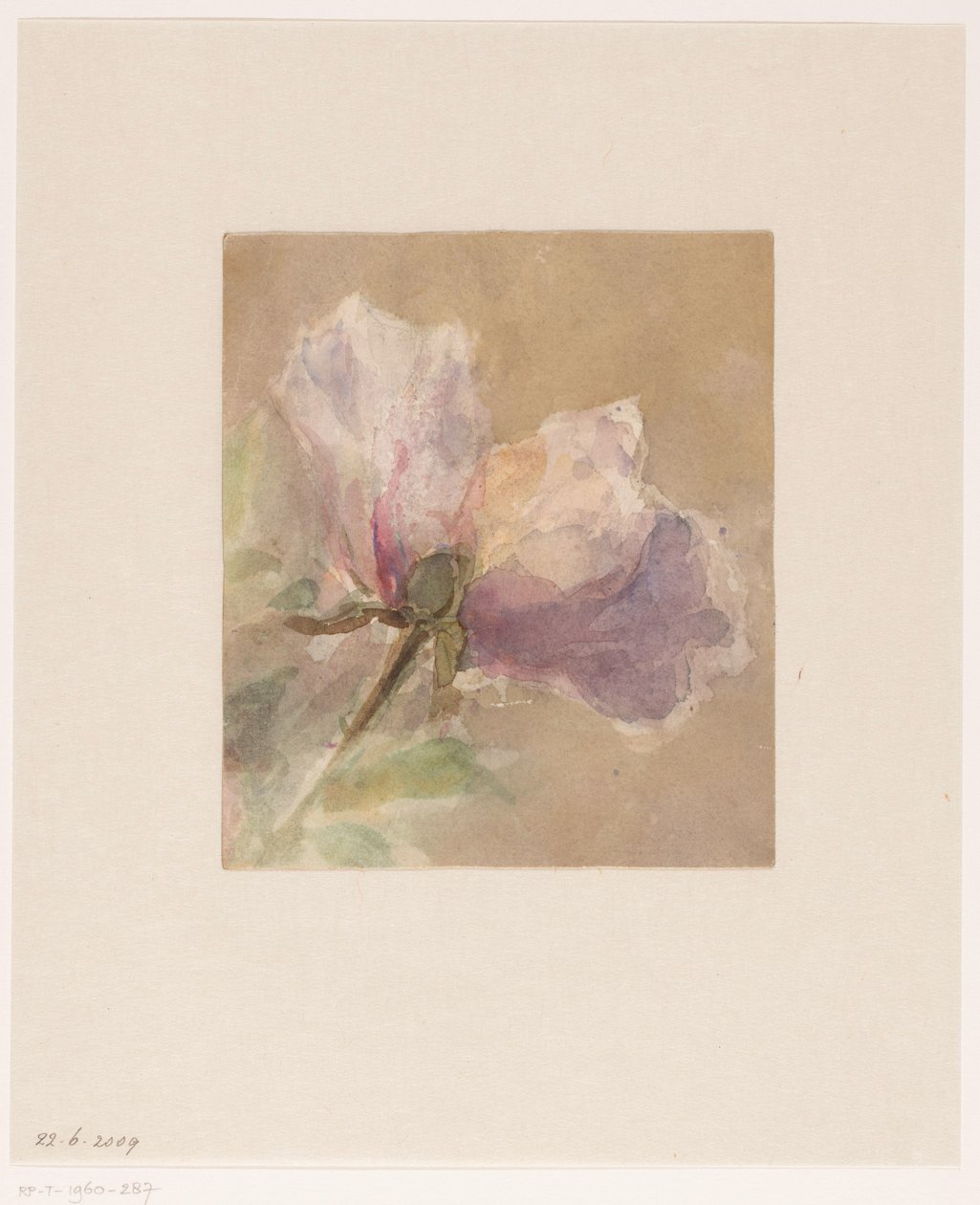 Visnet rose af Carel Nicolaas Storm van 