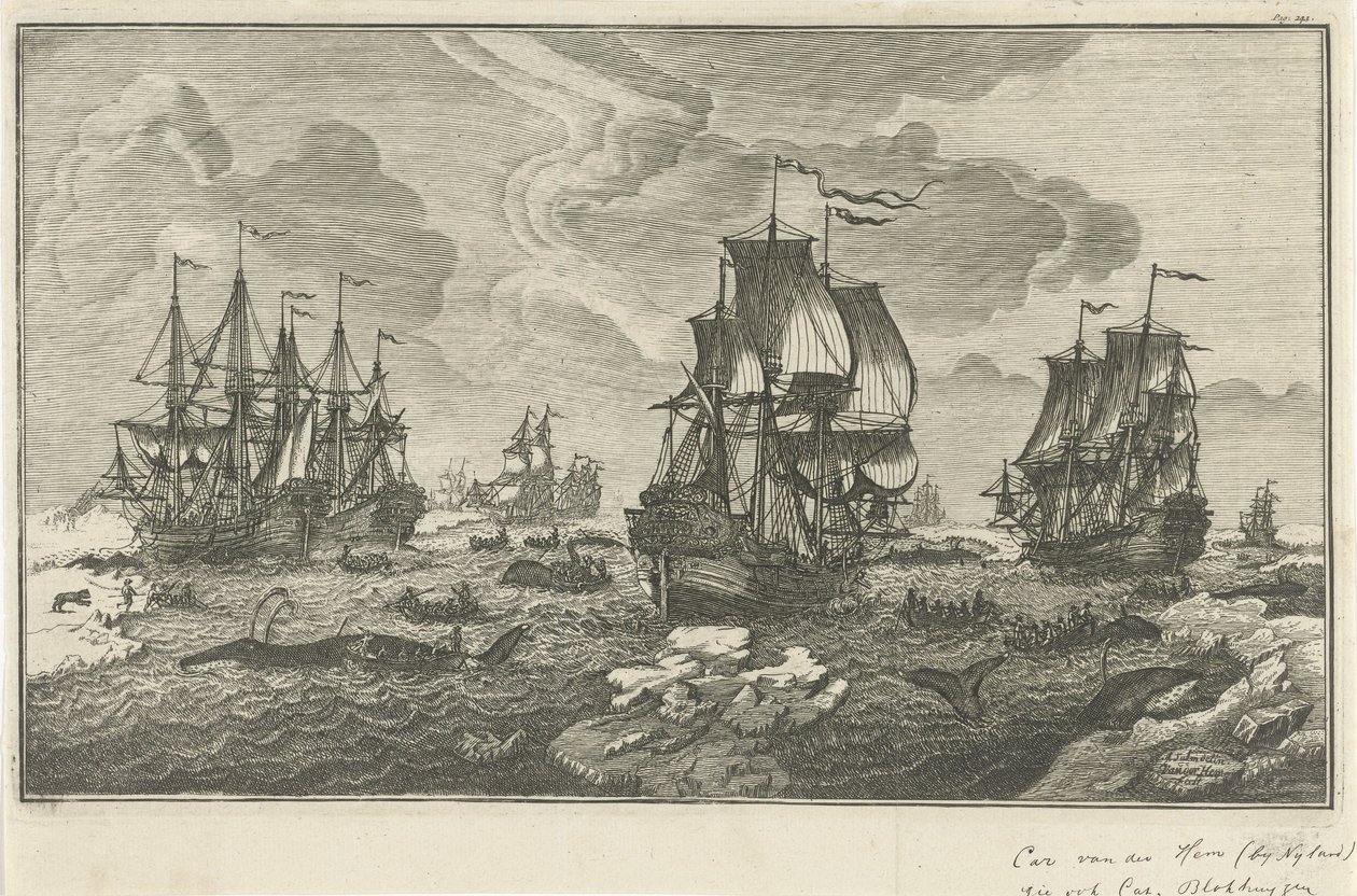 hvalfægere af Carel van der Hem