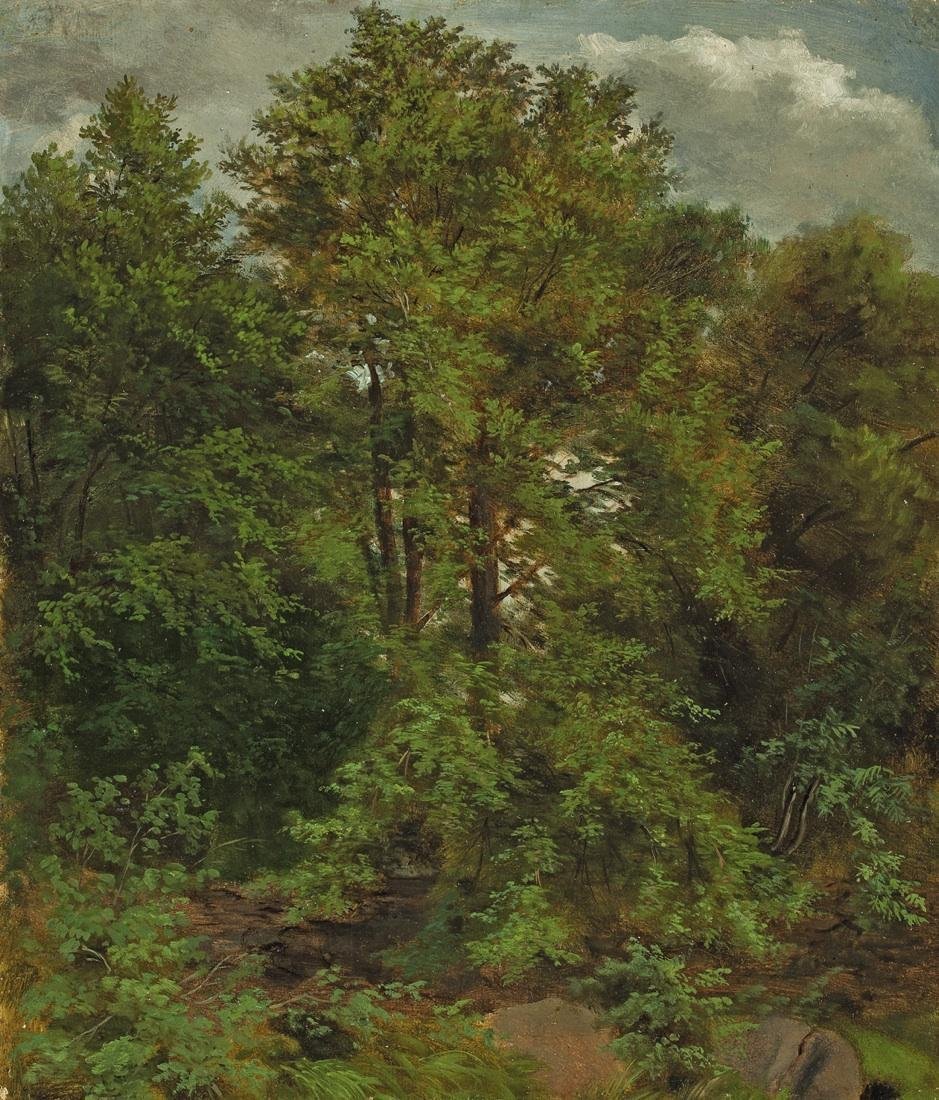 Motiv fra øen Pillnitz Elbe af Carl Gustav Carus
