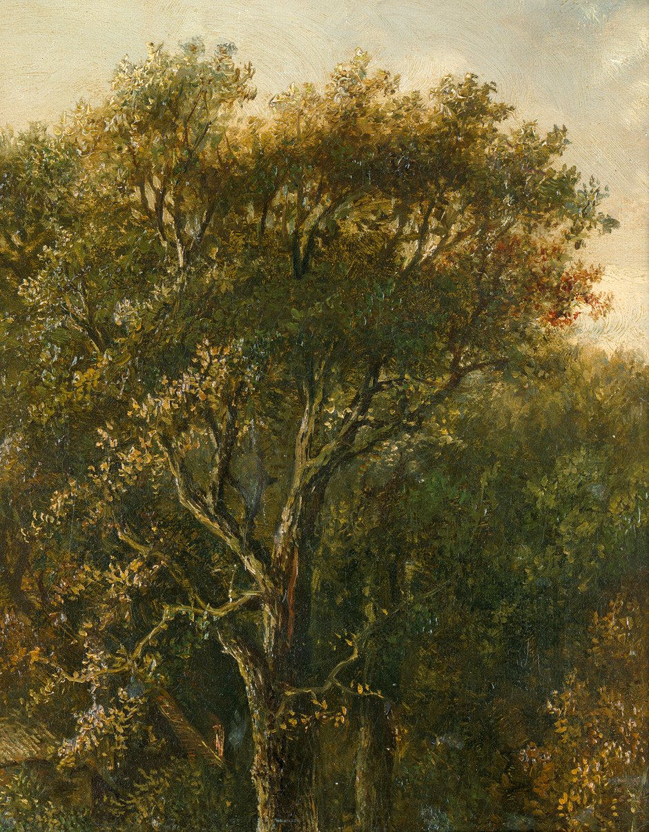 Skovstuk med egetræ af Carl Gustav Carus